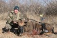 /album/photo-gallery-photogallery/bleu-wilde-beest-jpg/